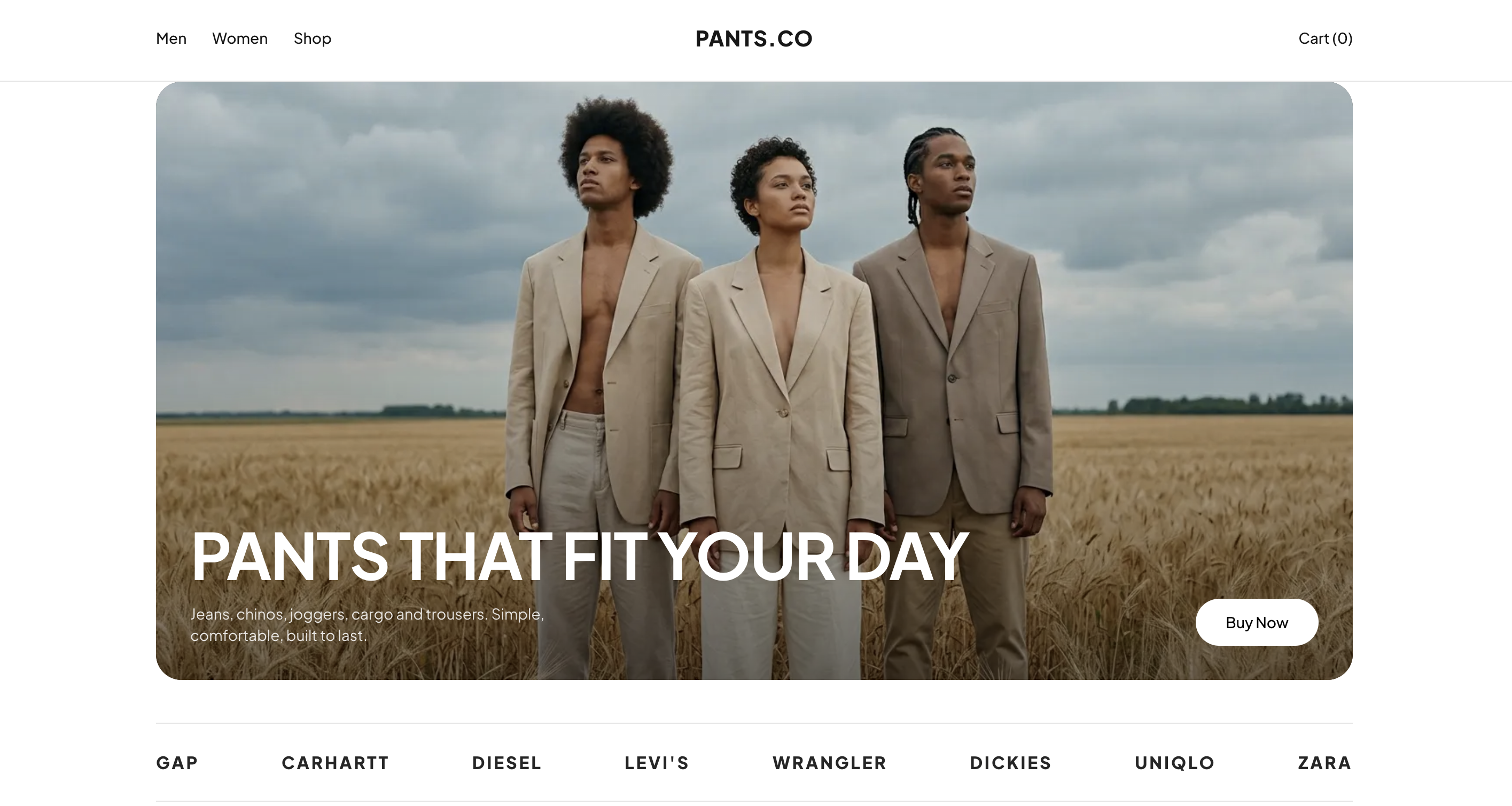 Pants.co storefront preview